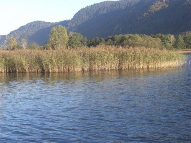 Gasthof Laggner Steindorf am Ossiacher See Exteriör bild