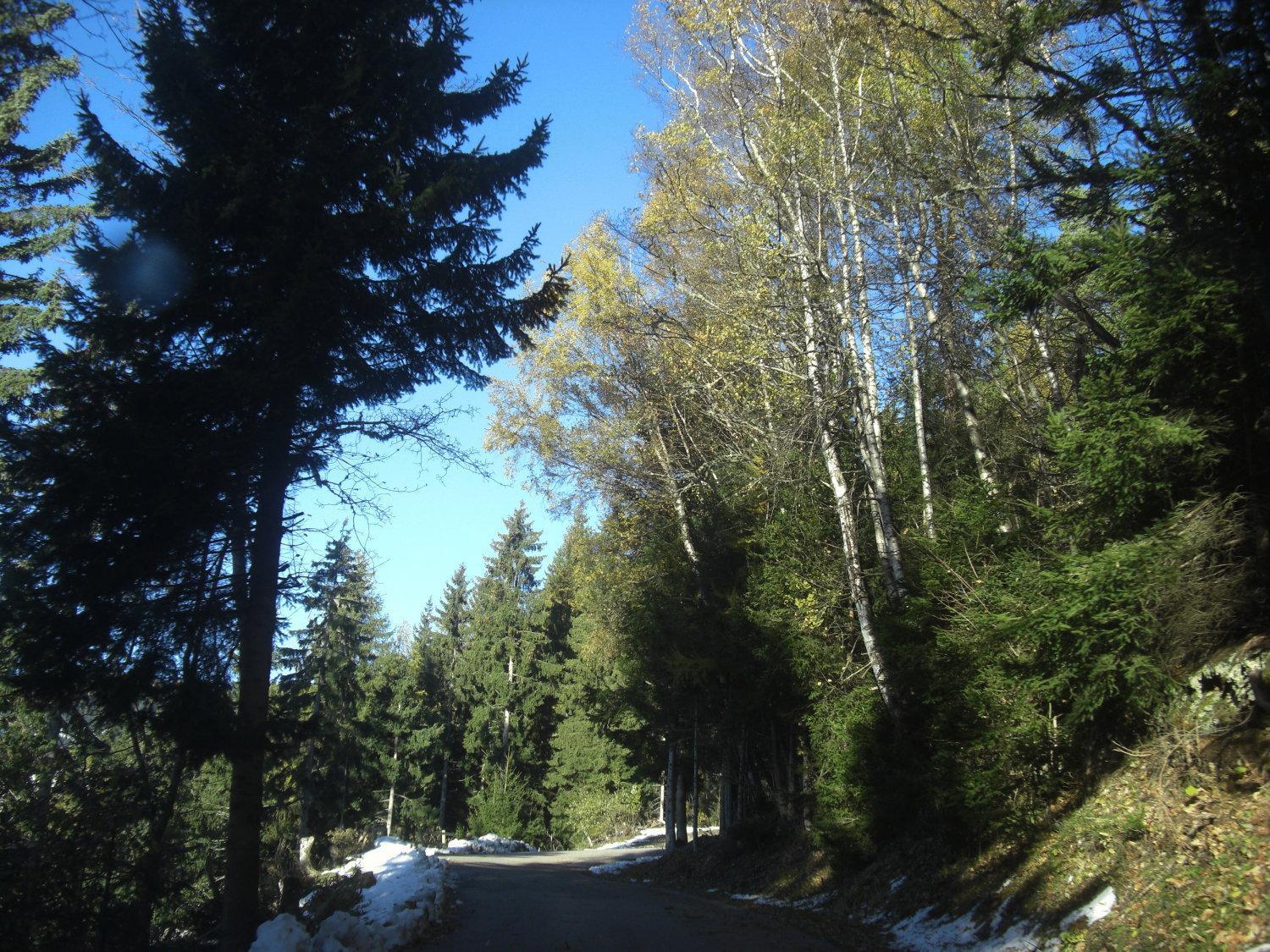 Gasthof Laggner Steindorf am Ossiacher See Exteriör bild